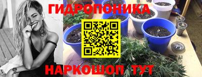 хмурый Коммунар