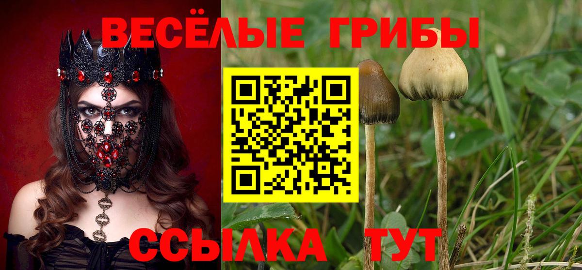 Псилоцибиновые грибы Cubensis  Вход с VPN  Уссурийск  Галлюциногенные грибы GOLDEN TEACHER 